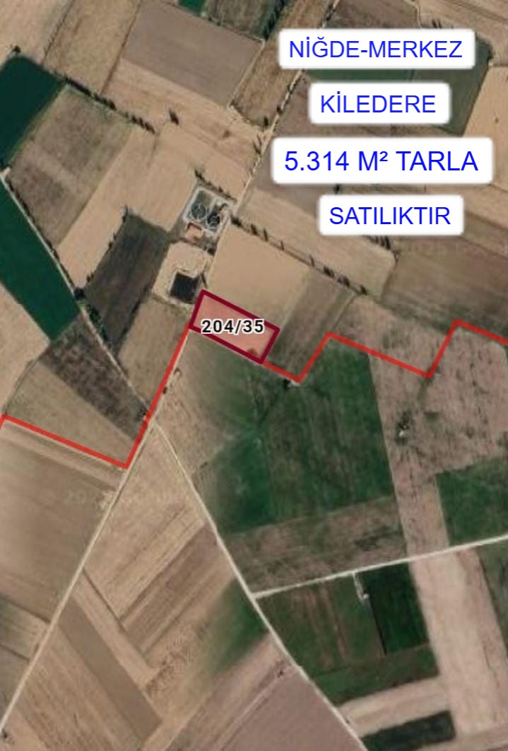 Fotoğraf