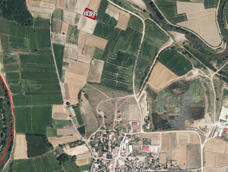 Fotoğraf