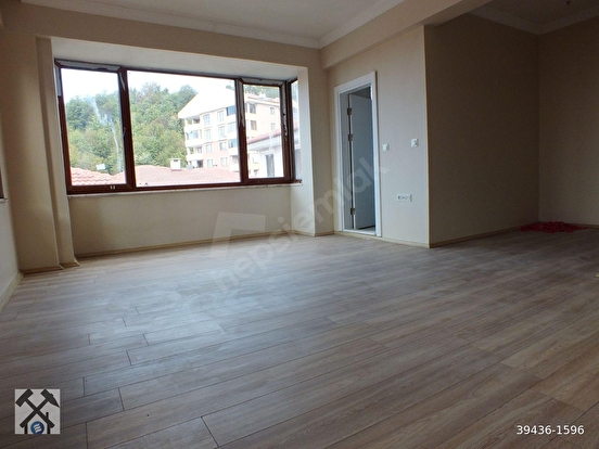 Fotoğraf