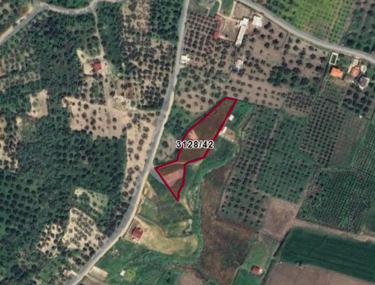Fotoğraf