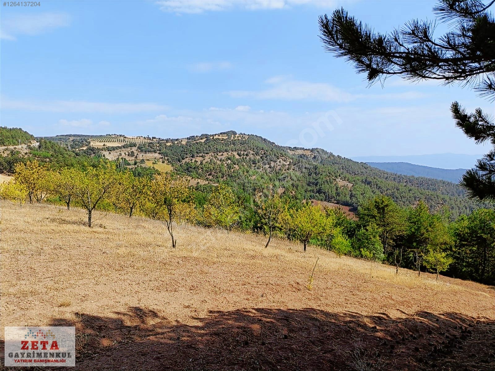 Sakarya Taraklı'da Manzaralı 5.291 m² Hobi Bahçesi/Yatırımlık - SAKARYA TARAKLI
