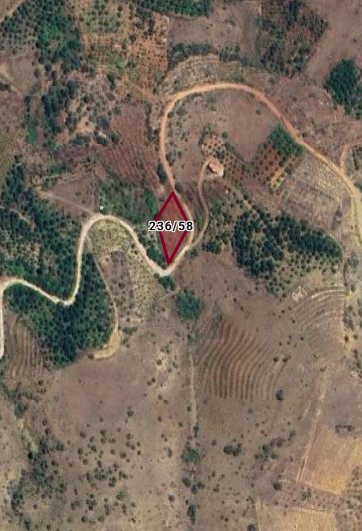 Fotoğraf