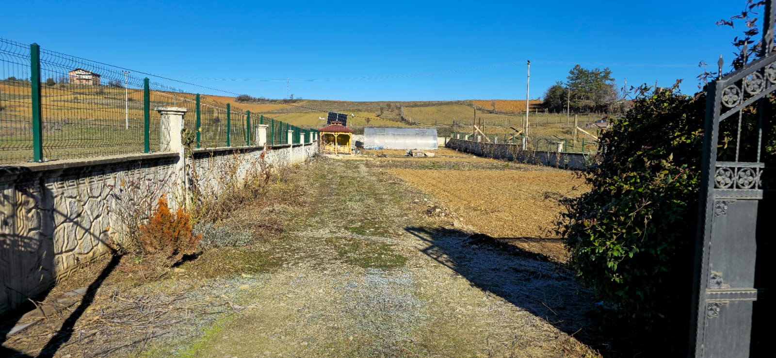 Fotoğraf