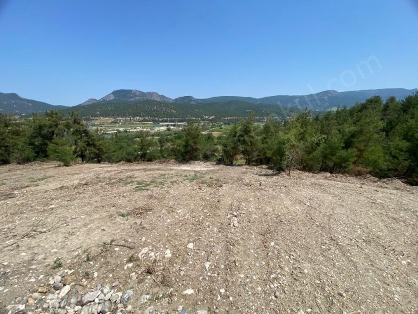 Fotoğraf