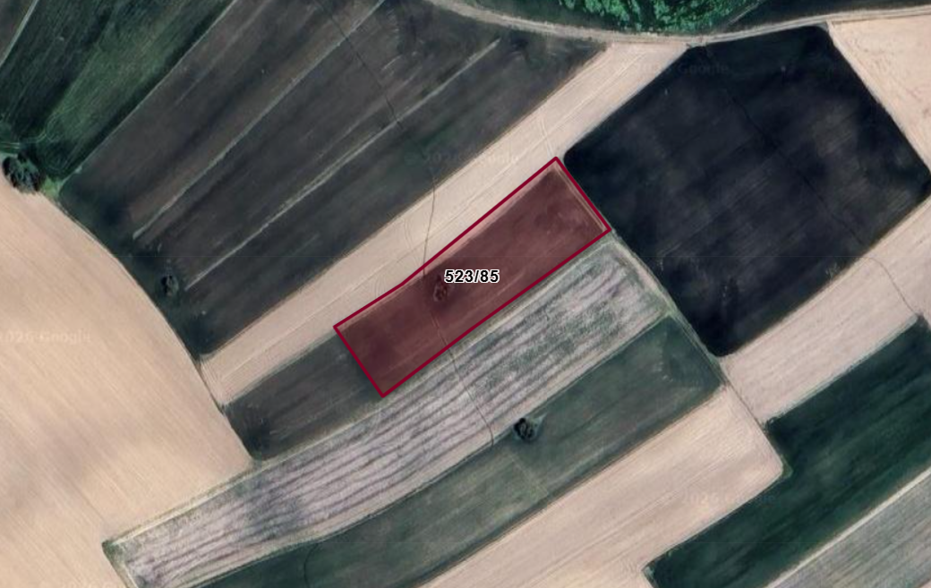 AFYONKARAHİSAR DAZKIRI ESENTEPE  KÖYÜNDE 4.094  M² TARLA  SATILIKTIR