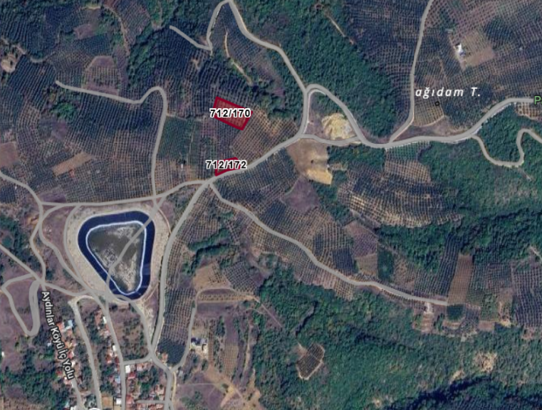 Fotoğraf