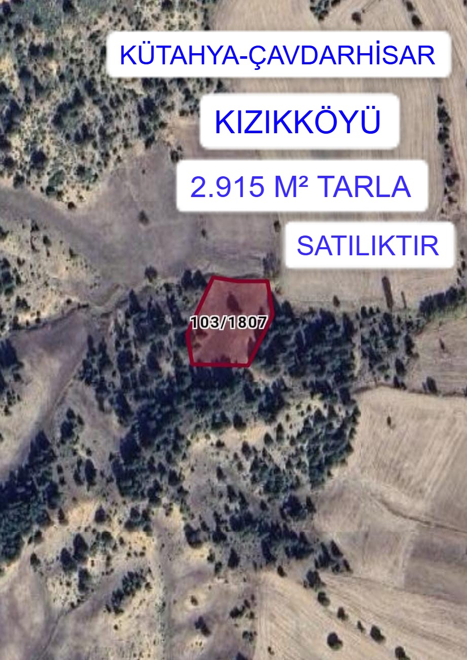 İlan Fotoğrafı