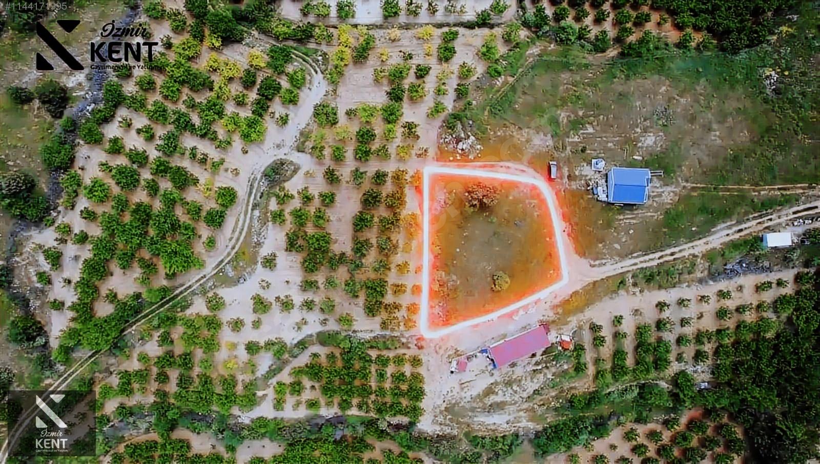 Fotoğraf