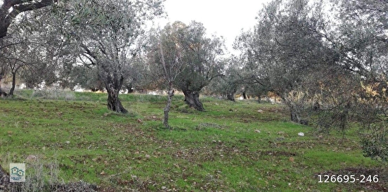 İlan Fotoğrafı