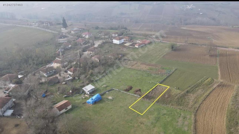 Fotoğraf
