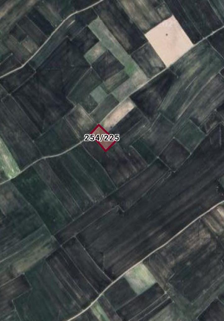 Fotoğraf
