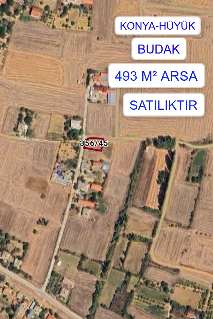 Fotoğraf