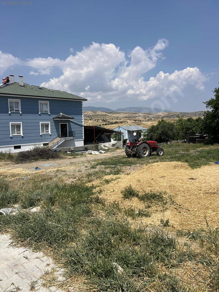 Fotoğraf