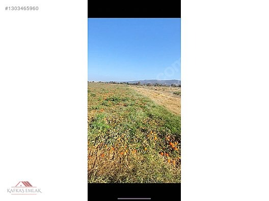 KAFKAS EMLAK'TAN BÜYÜK M2 TARIM ARAZİSİ