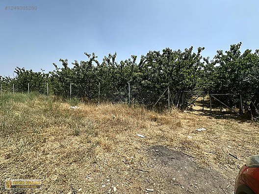İlan Fotoğrafı