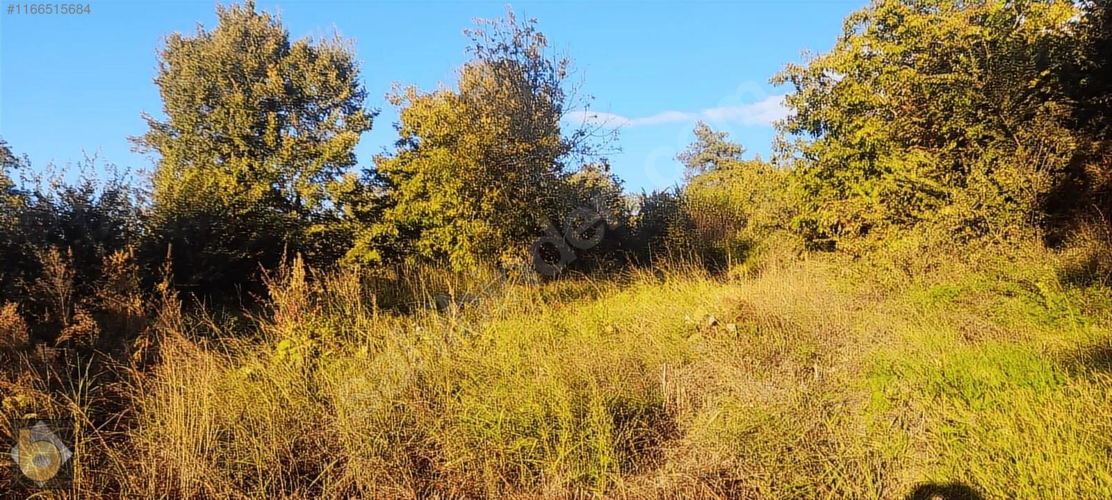 İlan Fotoğrafı
