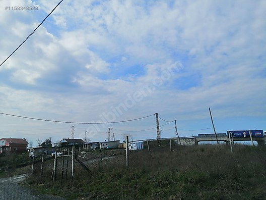 Fotoğraf