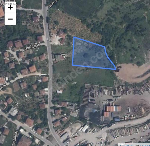 Fotoğraf