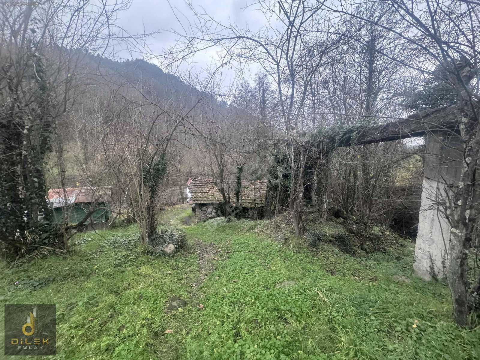 İlan Fotoğrafı