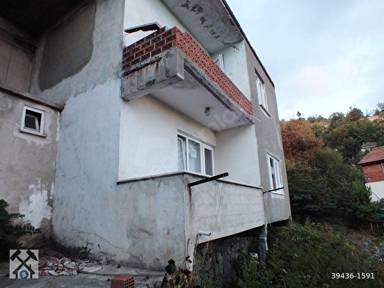 Fotoğraf