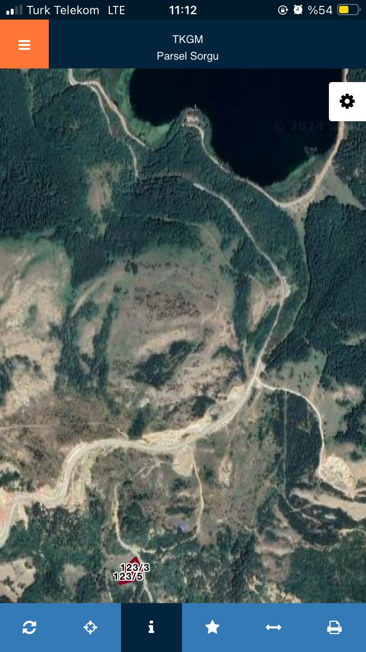 Fotoğraf