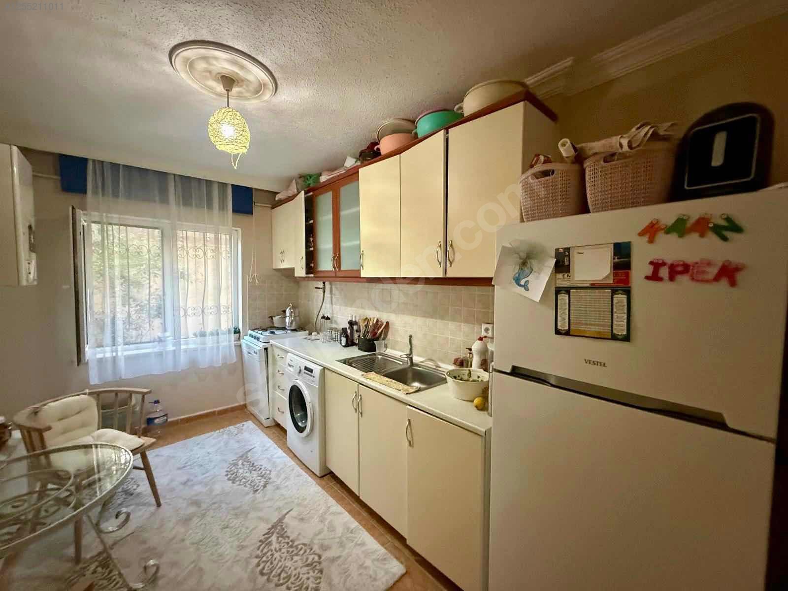Fotoğraf