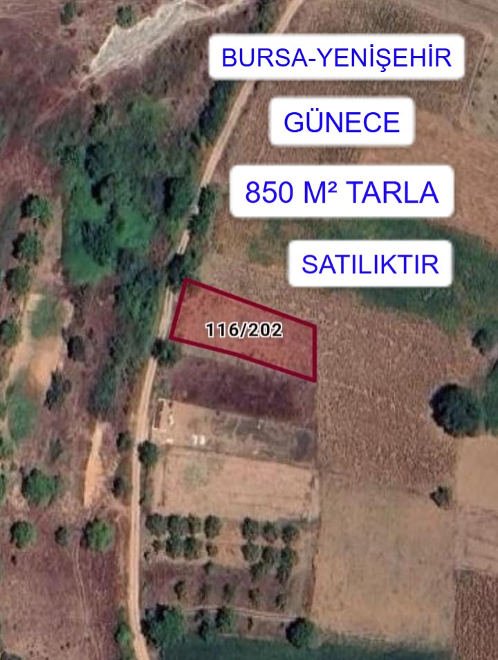 İlan Resmi