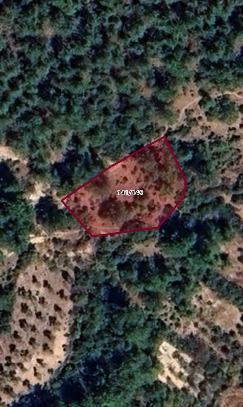 Fotoğraf