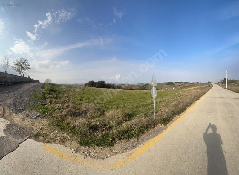 Fotoğraf