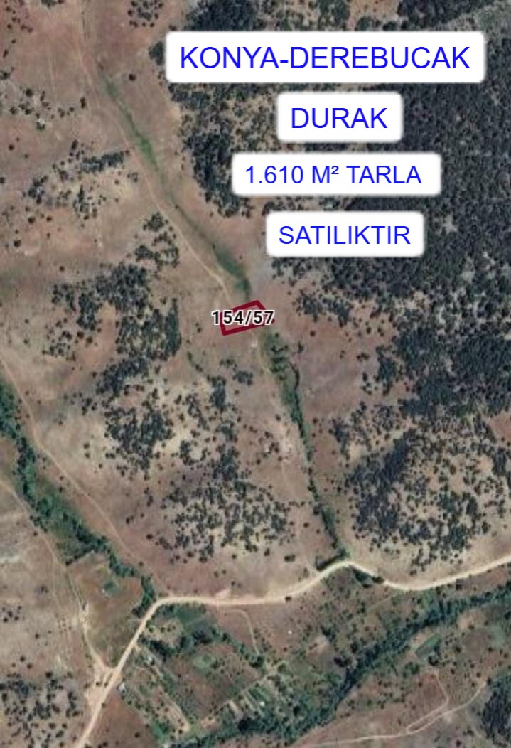 Fotoğraf