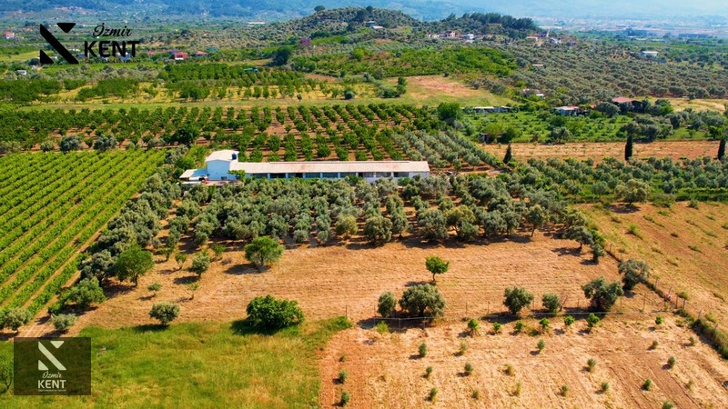İlan Fotoğrafı