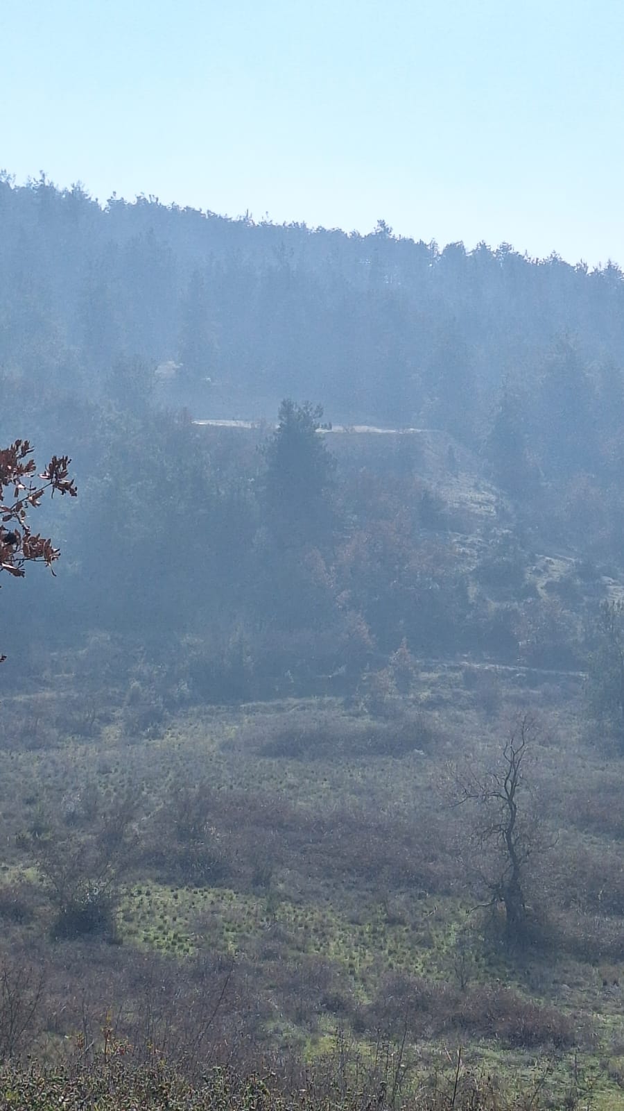 Fotoğraf