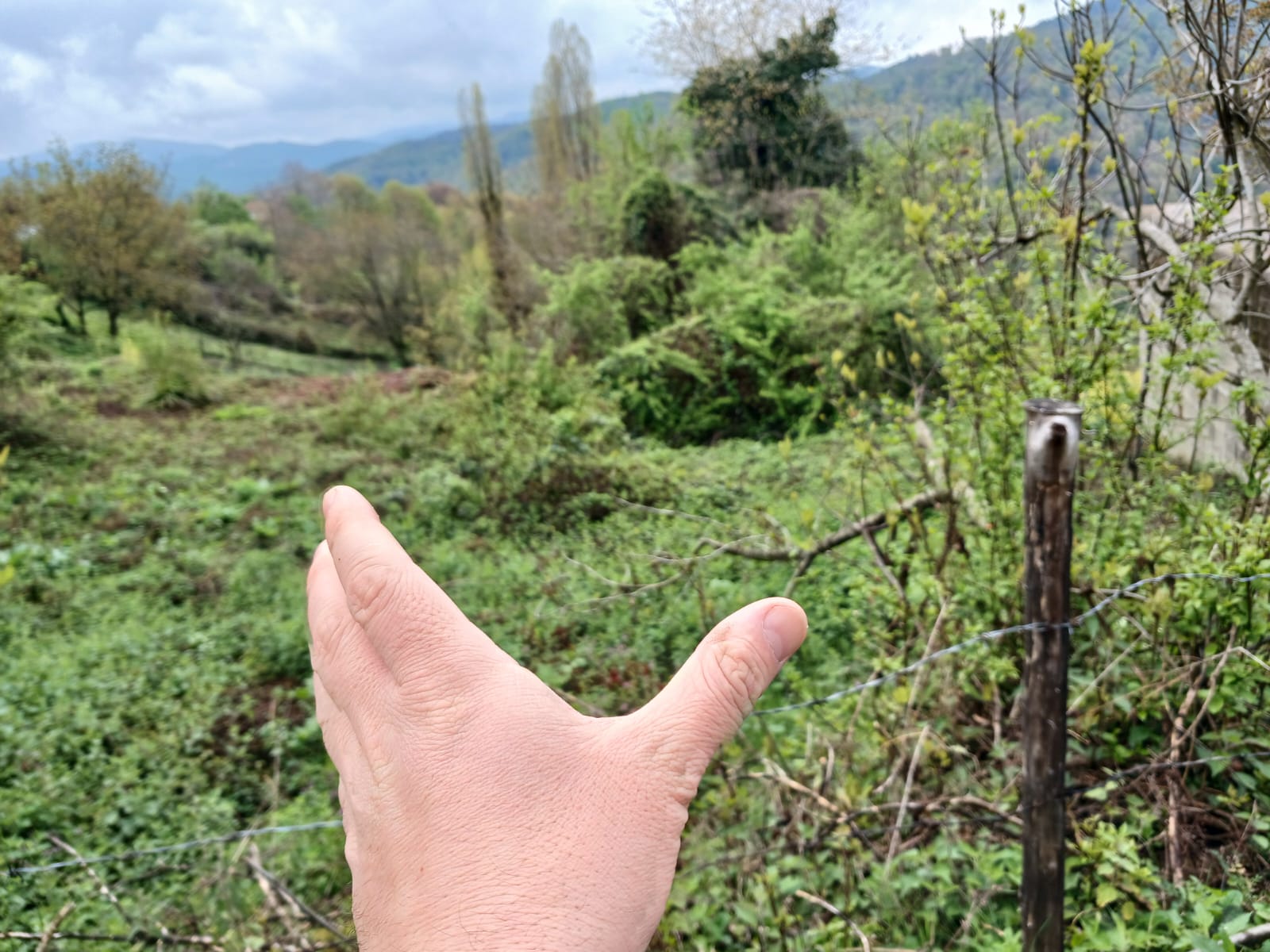 Fotoğraf