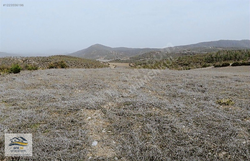 BOZKURT ALİ KURT'TA 10 DÖNÜM SATILIK ARAZİ