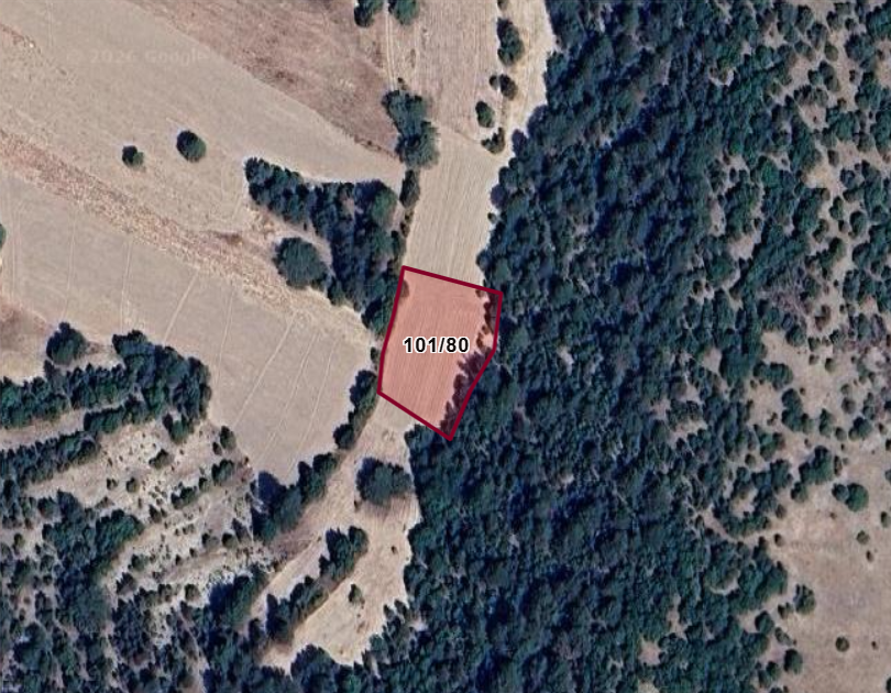 KÜTAHYA ÇAVDARHİSAR ÇAT  KÖYÜNDE 1.549  M²  TARLA  SATILIKTIR