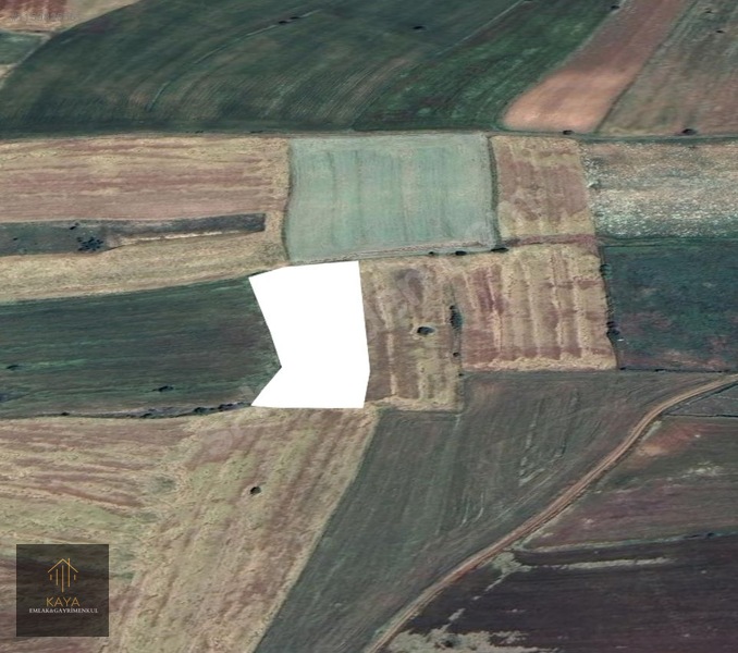 İlan Fotoğrafı