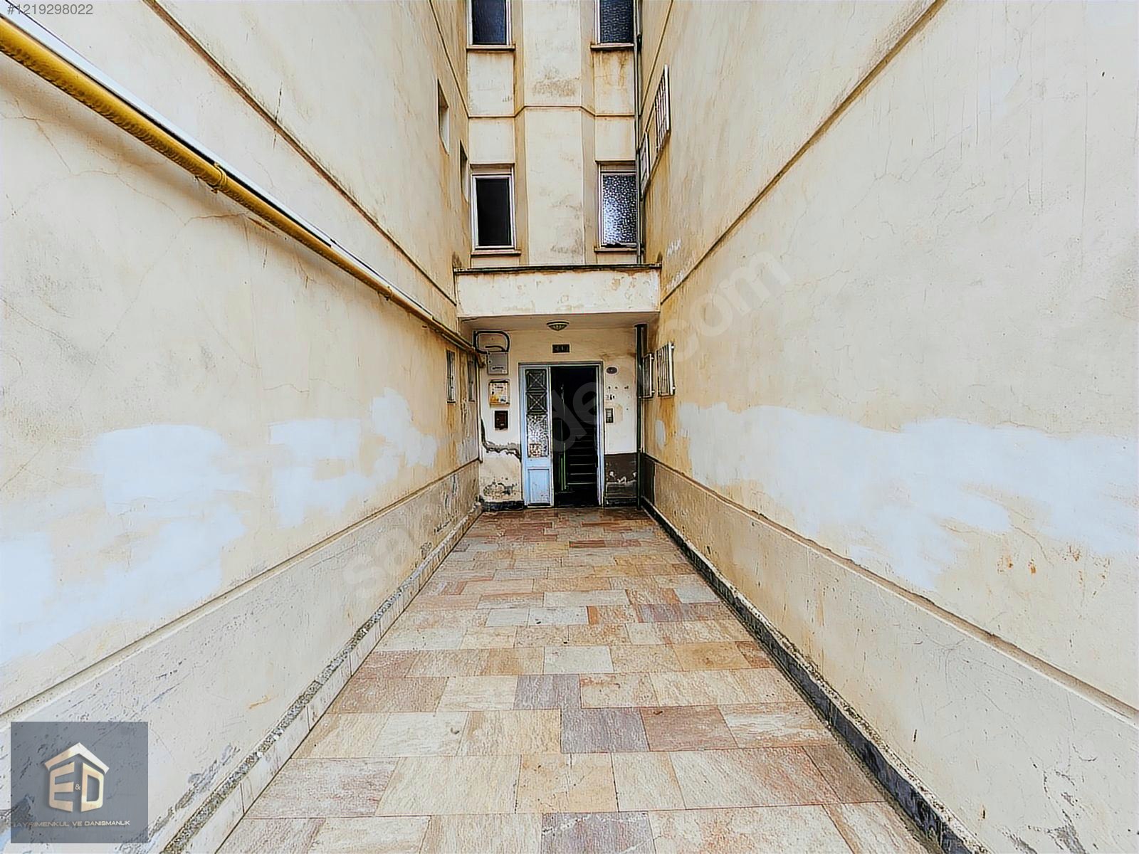Fotoğraf