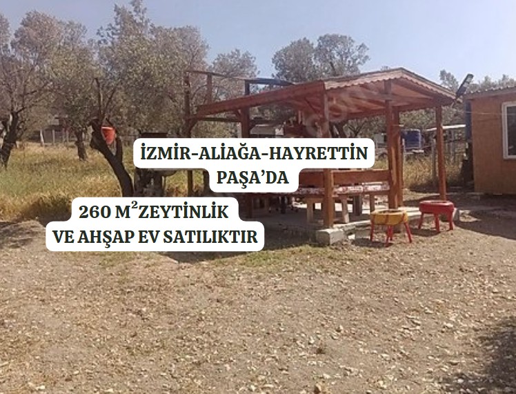 Fotoğraf