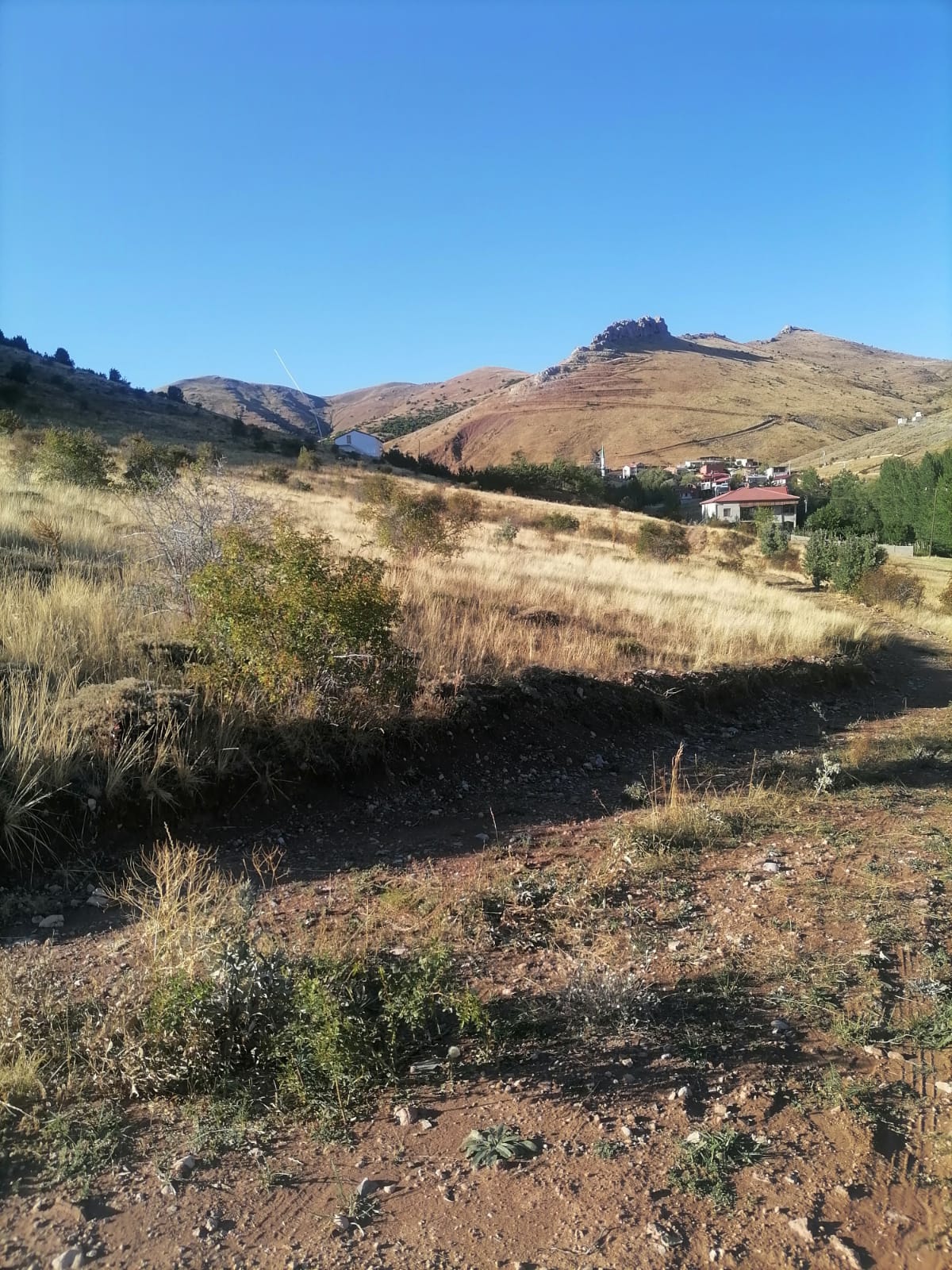 Fotoğraf