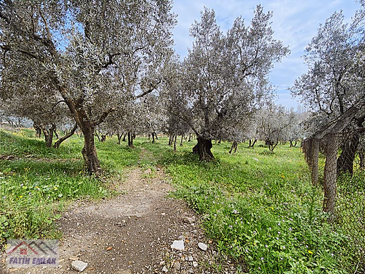 İlan Fotoğrafı