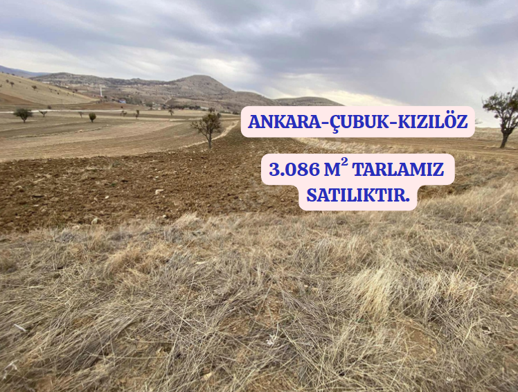 Fotoğraf