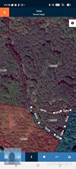 perşembe Boğazcık köyünde satılık, 935 m2 fındık bahçesi