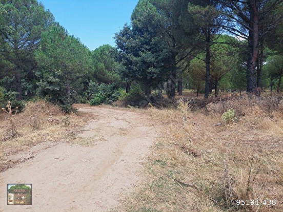 BERGAMA KARAVELİLER MAH DE 9975 M2 FISTIKLI TARLA PARSEL YOLLU MANZARALI