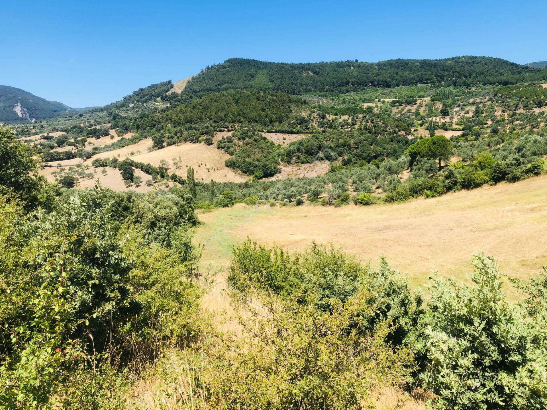 İlan Fotoğrafı
