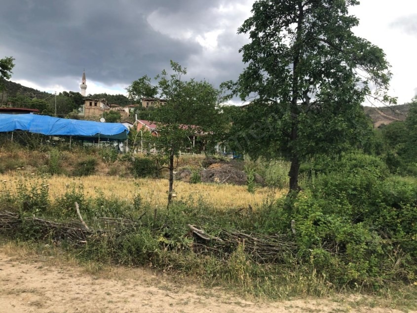 Fotoğraf