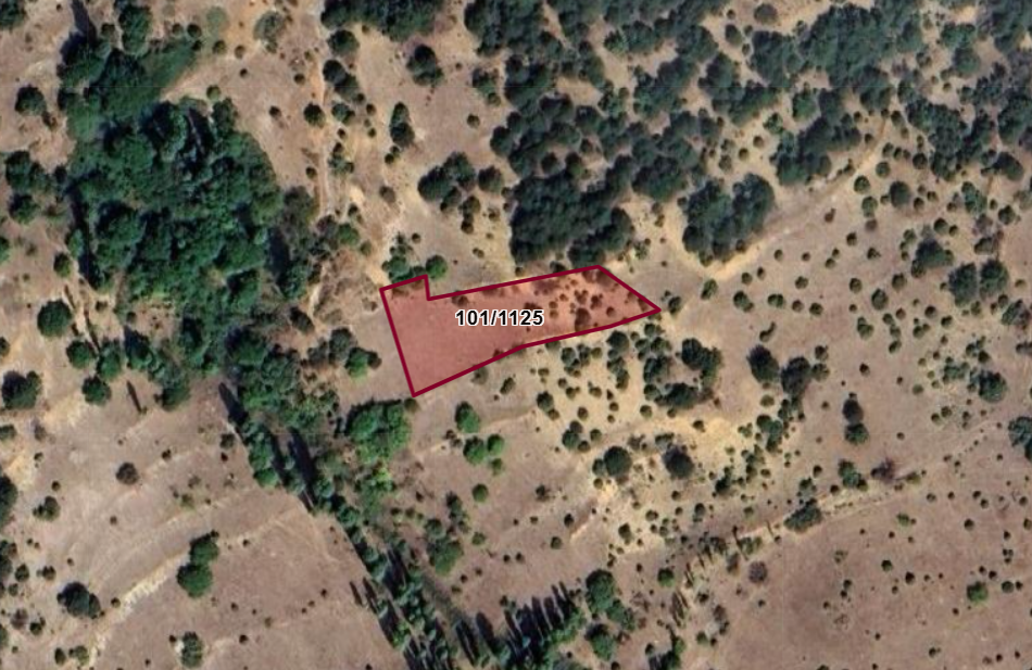 BİLECİK GÖLPAZARI BÜYÜKBELEN  KÖYÜNDE  1.992  M²  TARLA  SATILIKTIR