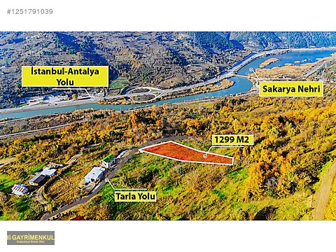 Ferizli Hocaoğlu'nda Satılık 2400 m² Fındık Bahçesi