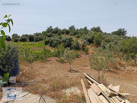 İlan Fotoğrafı