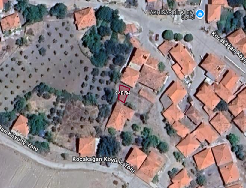Fotoğraf