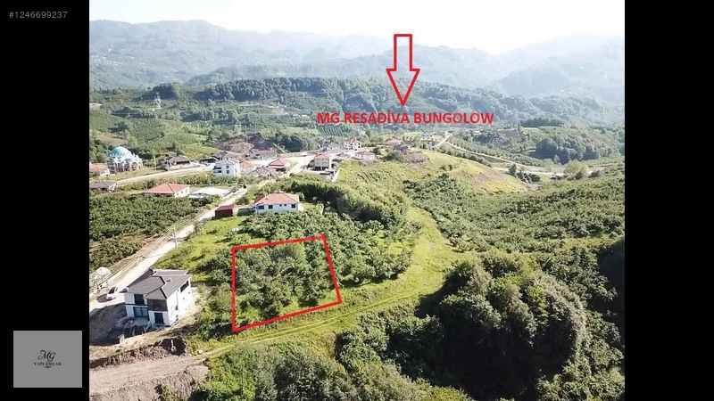 İlan Fotoğrafı